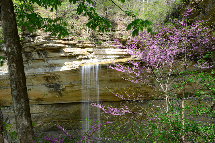 Clifty Falls State Park Clifty Falls State Park