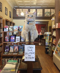 Ollie on book press